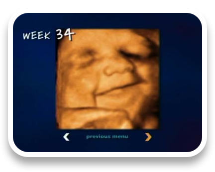 collage image title